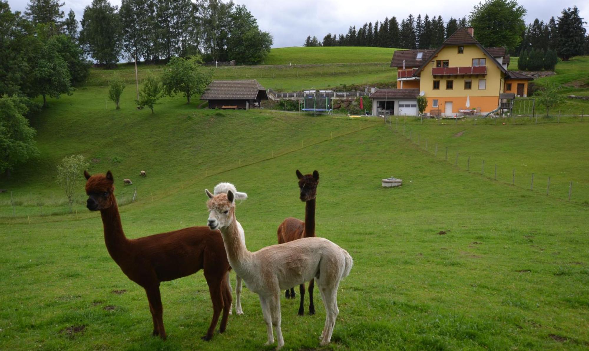 Biohof Kroisleitner Sankt Jakob im Walde Eksteriør bilde