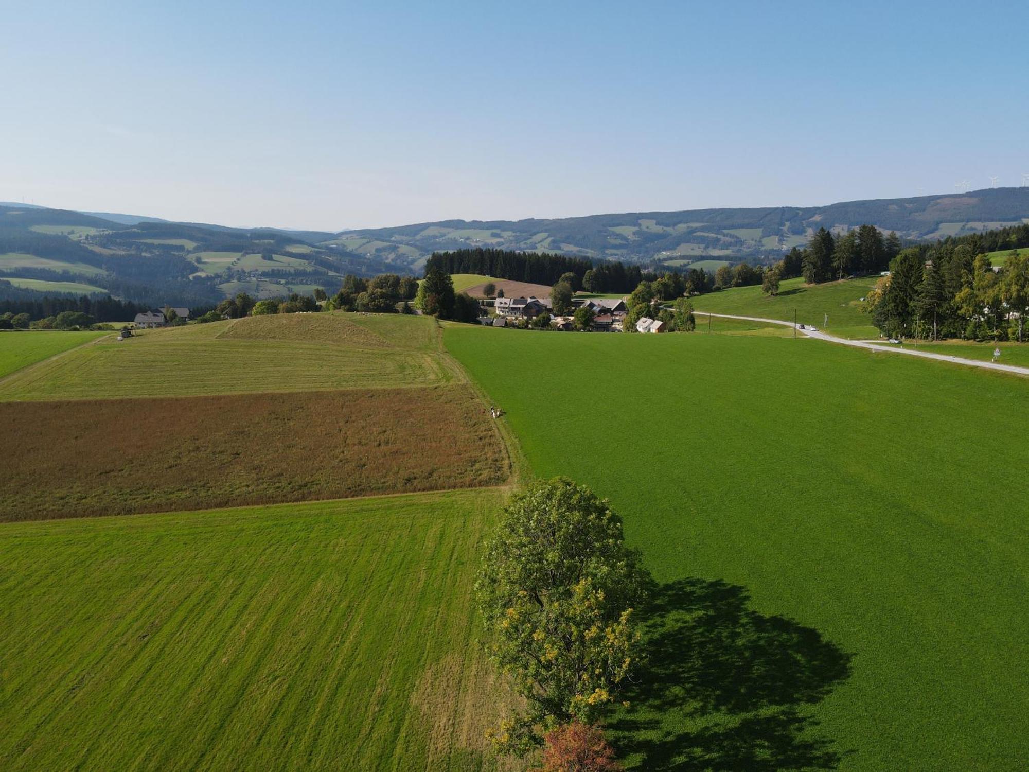 Biohof Kroisleitner Sankt Jakob im Walde Eksteriør bilde