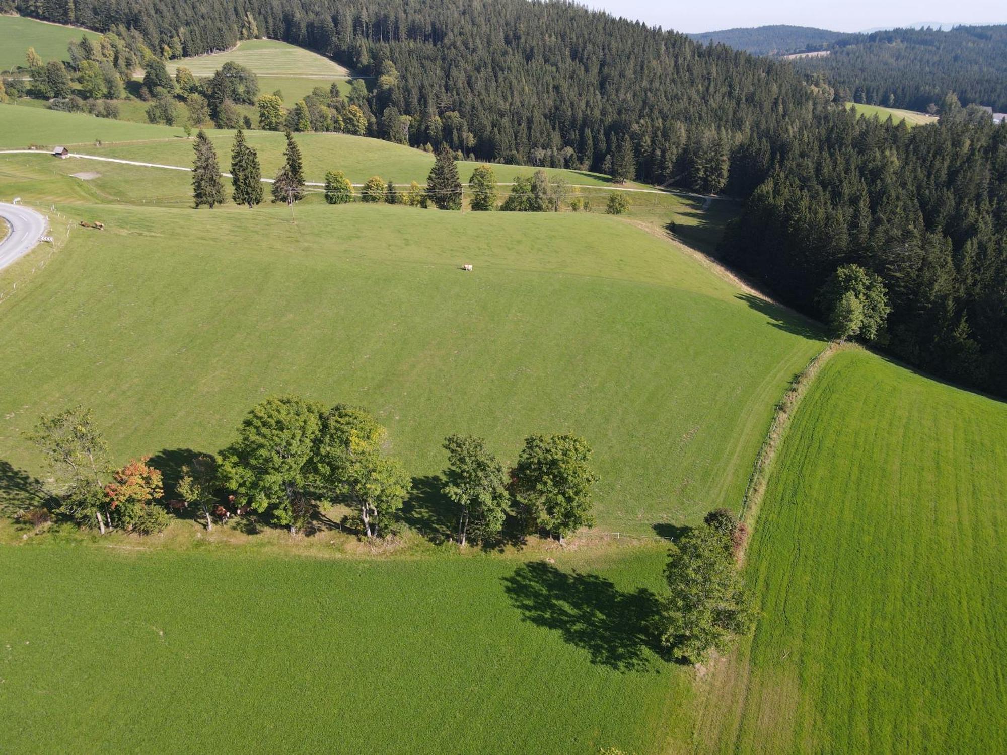 Biohof Kroisleitner Sankt Jakob im Walde Eksteriør bilde