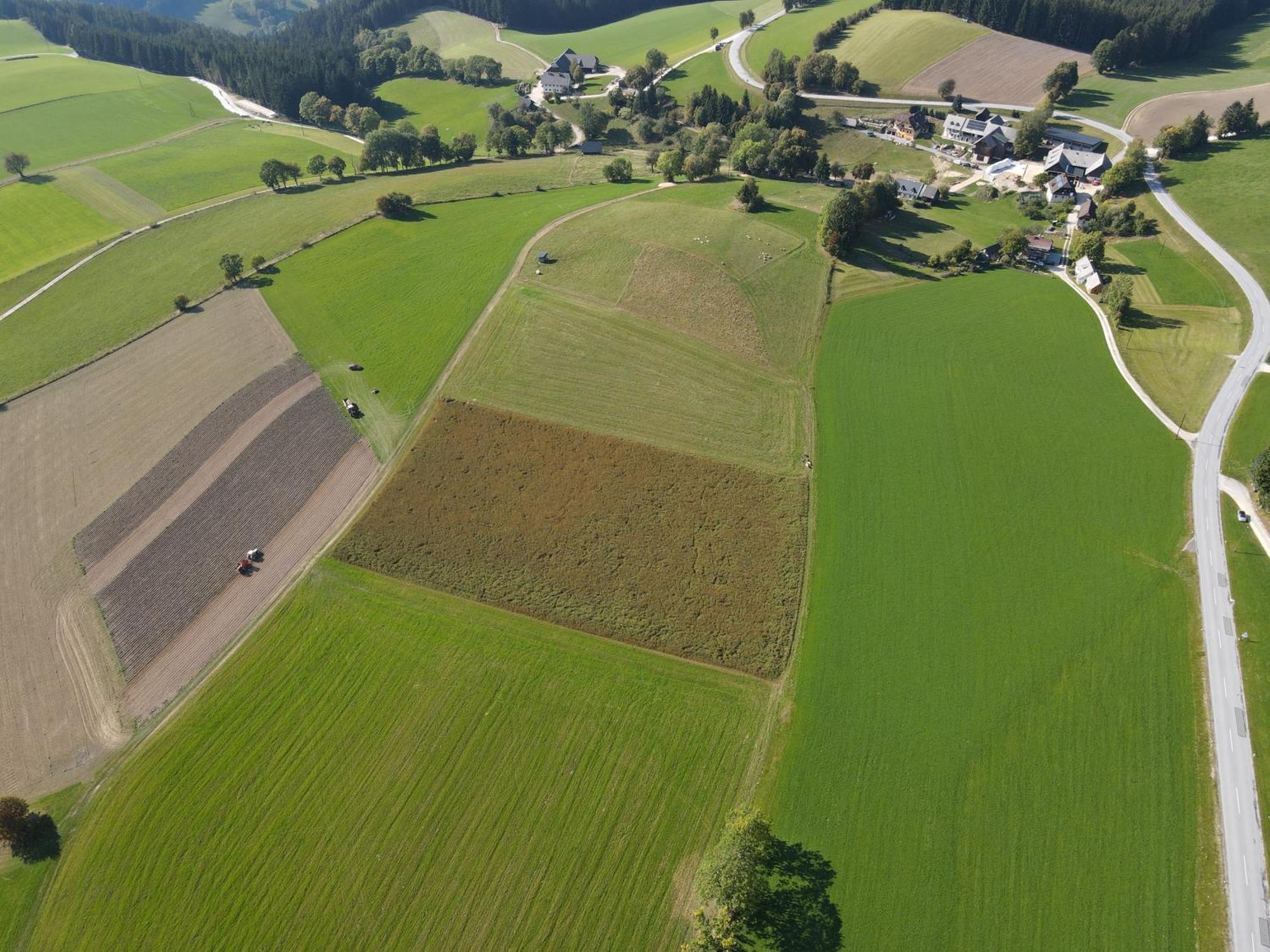 Biohof Kroisleitner Sankt Jakob im Walde Eksteriør bilde