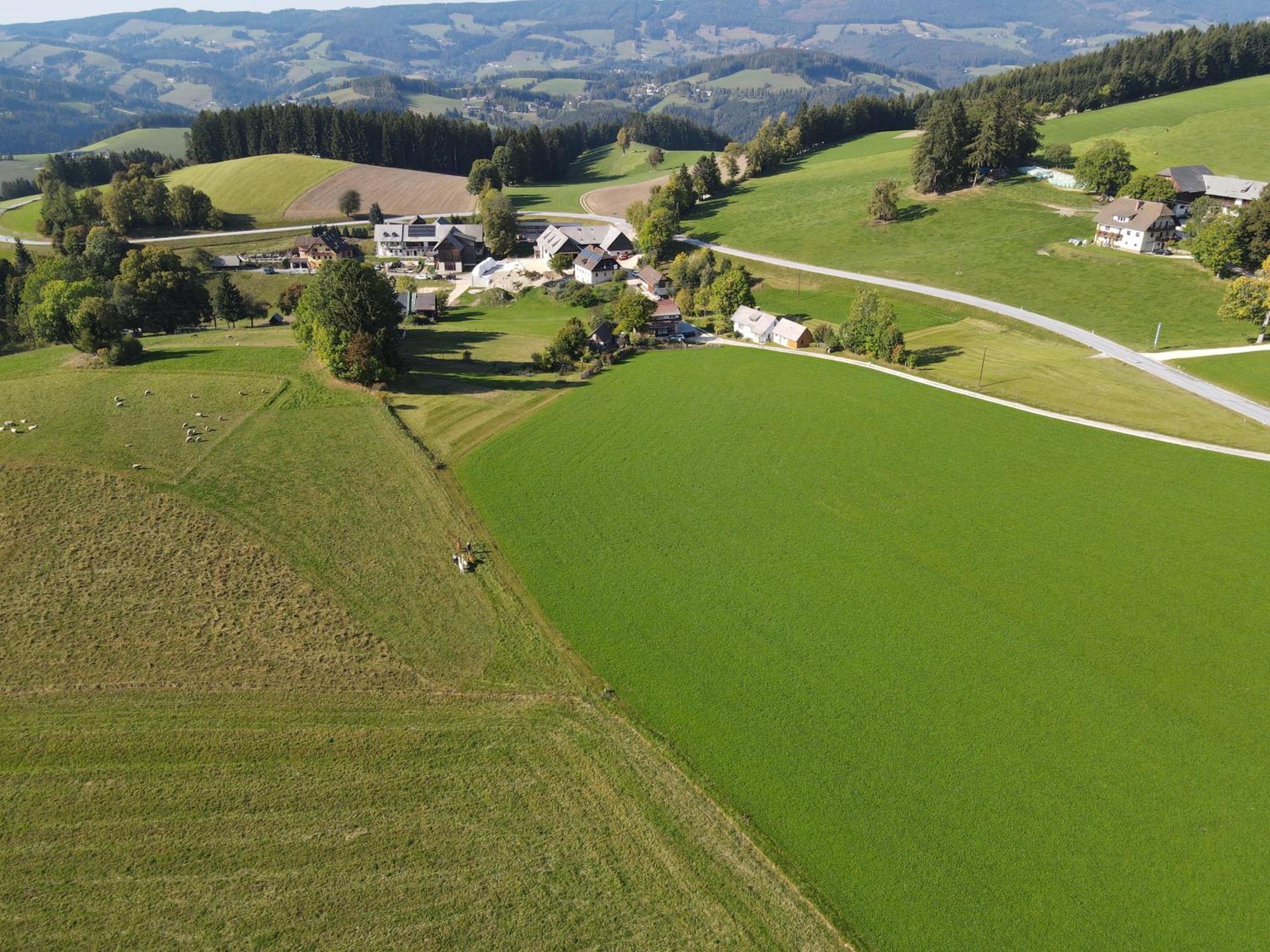 Biohof Kroisleitner Sankt Jakob im Walde Eksteriør bilde