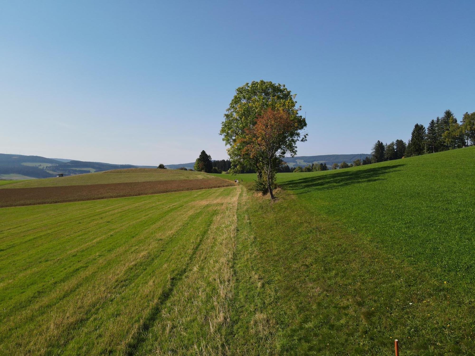 Biohof Kroisleitner Sankt Jakob im Walde Eksteriør bilde
