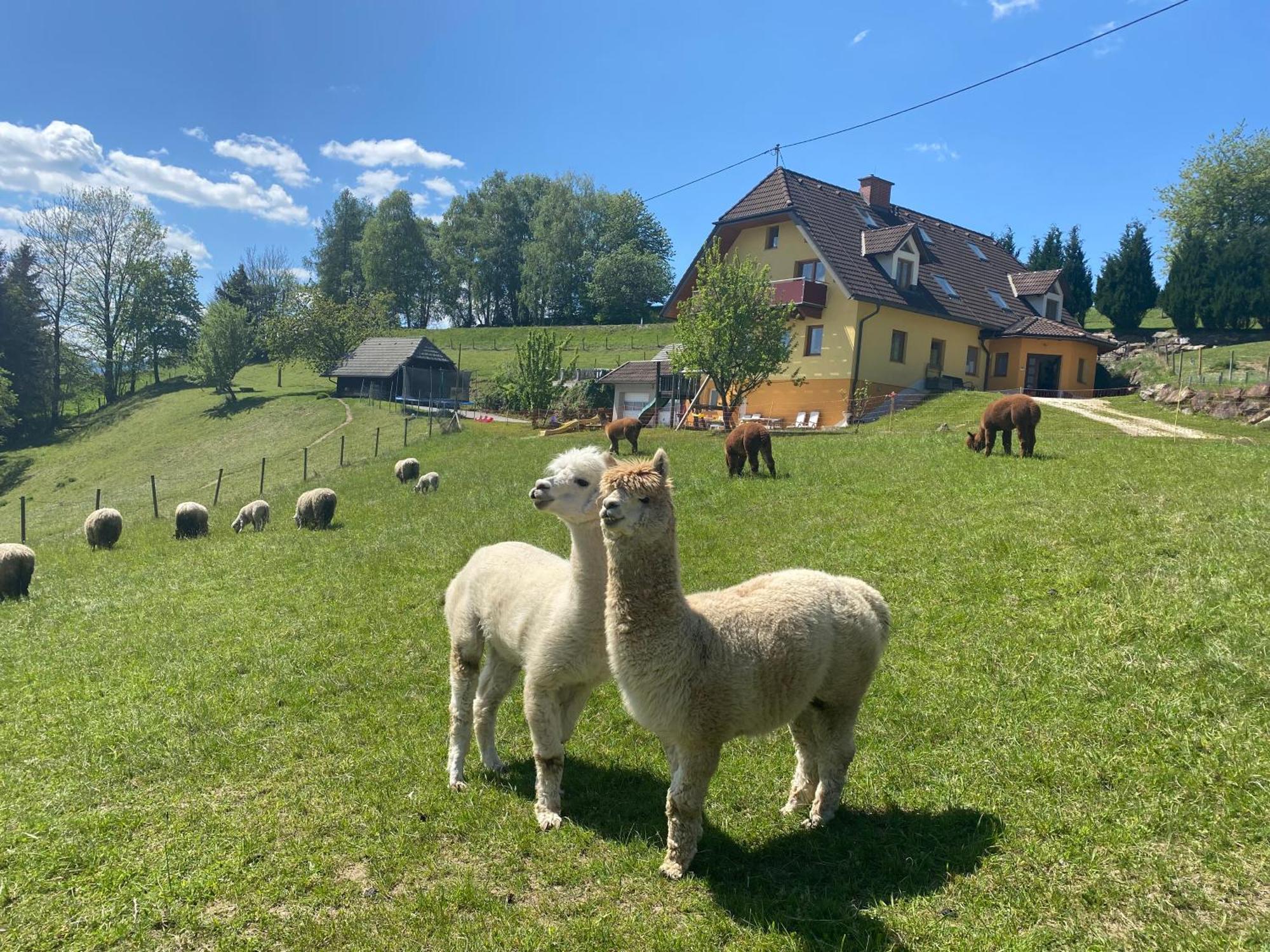 Biohof Kroisleitner Sankt Jakob im Walde Eksteriør bilde